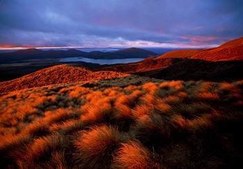 Mystisches Neuseeland: Berghang des Tongariro Vulkanes. (Foto: Dirk Bleyer)