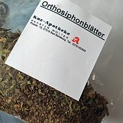 Die Heilpflanze fürs Literaturpflaster-Land Philippinen: Orthosiphon, landläufig als Katzenbart bekannt. (Foto: Rikarde Riedesel)