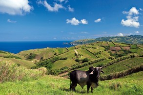 Multivision 'Philippinen – 7.107 Inseln voller Kontraste' | Batanes | von Tobias Hauser und David Hettich (Foto: Hauser/Hettich)