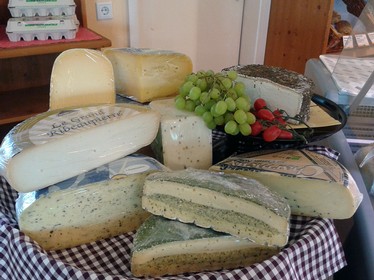 Cheese tasting Holland at 'naturale - der Bioladen'