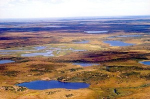 Tundra bei Dudinka am Jenissej in Sibirien (Foto: Dr. Andreas Hugentobler - Wikipedia)